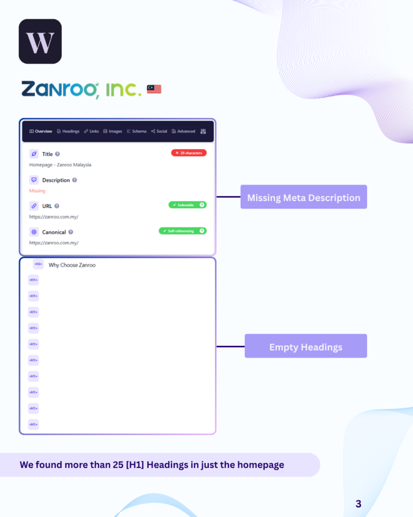 Zanroo homepage SEO audit showing missing meta description and empty H1 tags